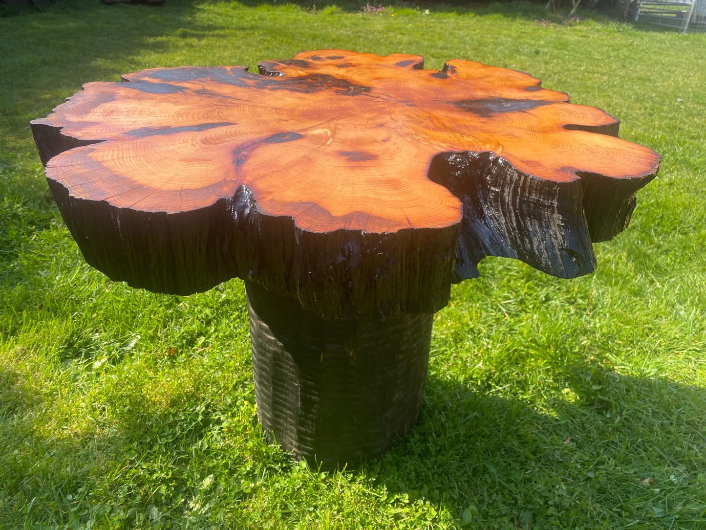 Unique Yew Coffee/Side Table