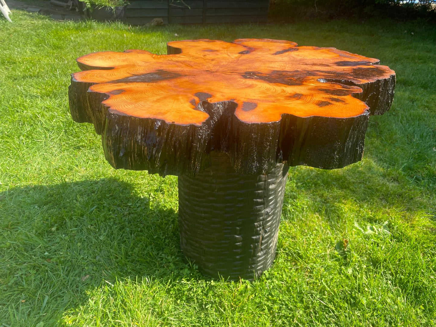 Unique Yew Coffee/Side Table