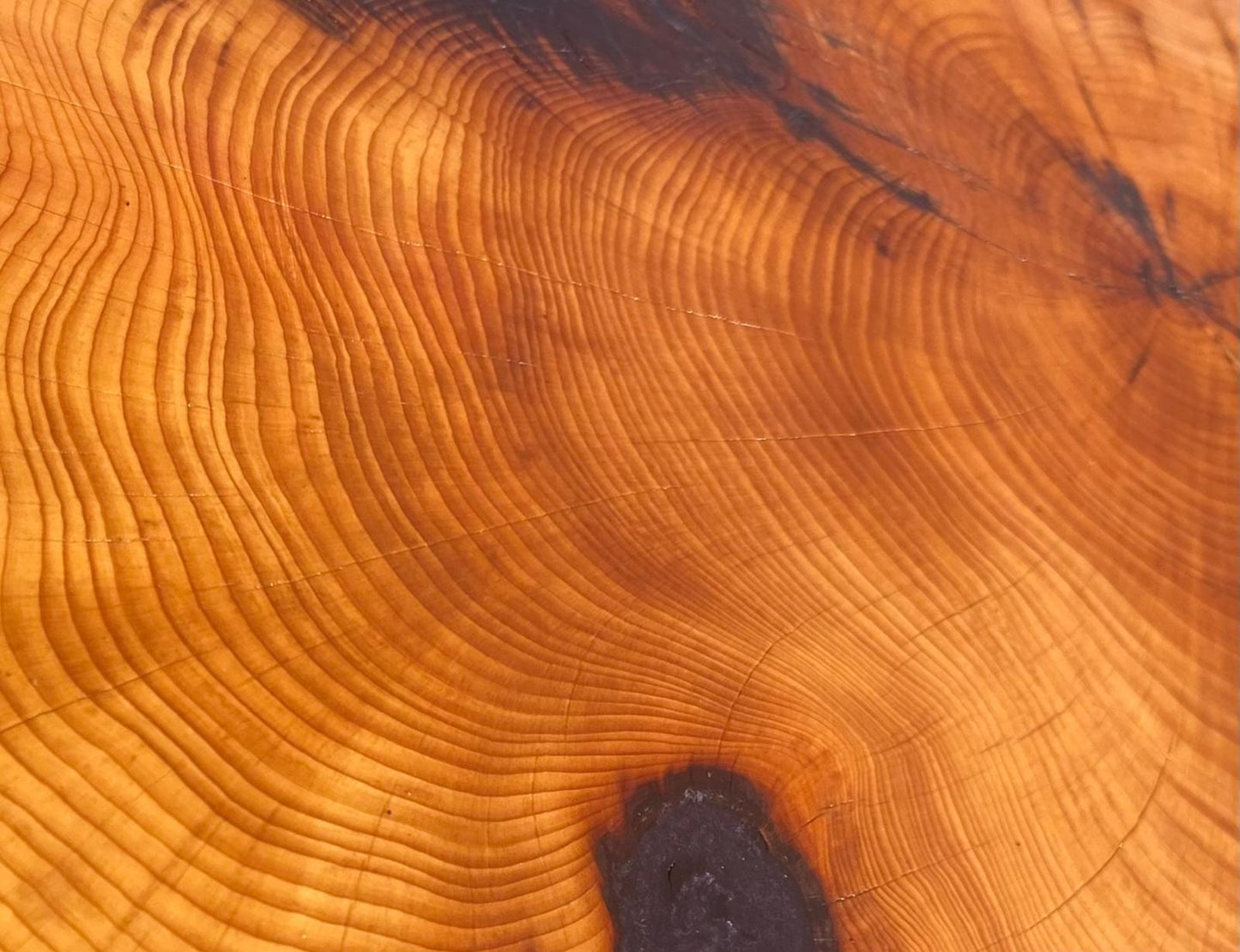 Unique Yew Coffee/Side Table